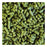 Pellet Hops, Fuggle