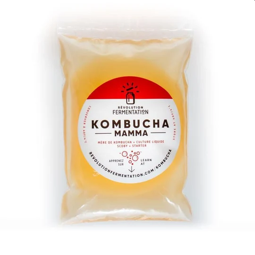 Kombucha SCOBY