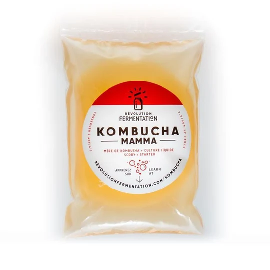 Kombucha SCOBY