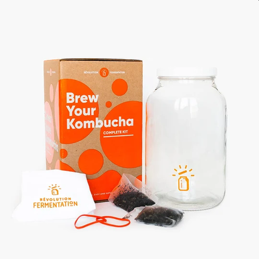 Kombucha Starter Kit