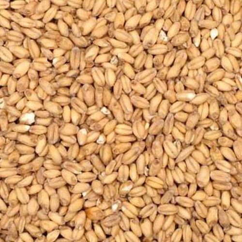 Malted Wheat (250 g)